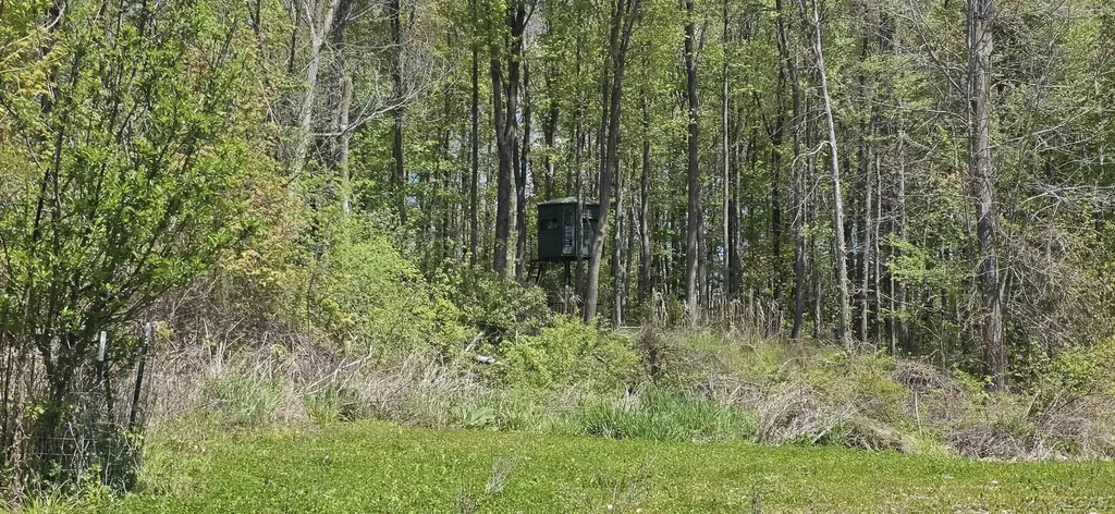 15252 27 Mile Road Sheridan Township MI 49224