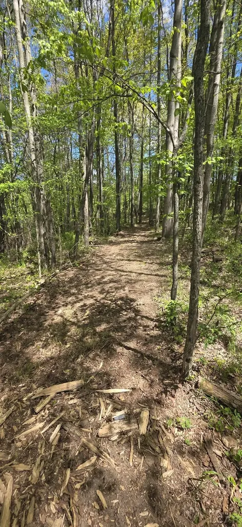 15252 27 Mile Road Sheridan Township MI 49224