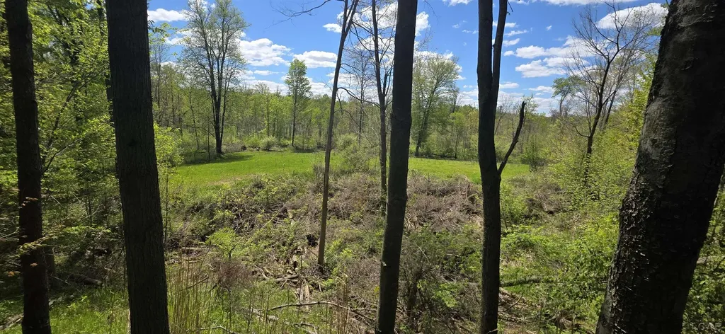 15252 27 Mile Road Sheridan Township MI 49224
