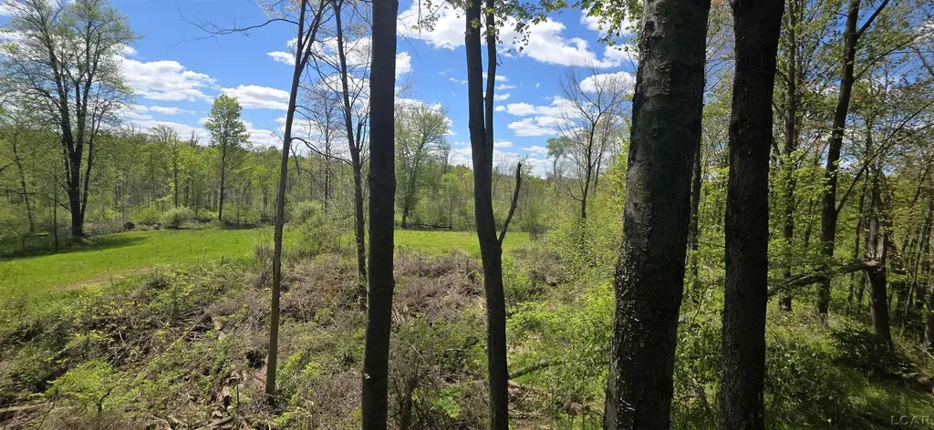 15252 27 Mile Road Sheridan Township MI 49224