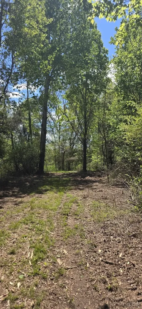 15252 27 Mile Road Sheridan Township MI 49224