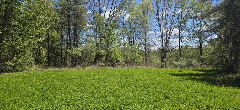 15252 27 Mile Road Sheridan Township MI 49224