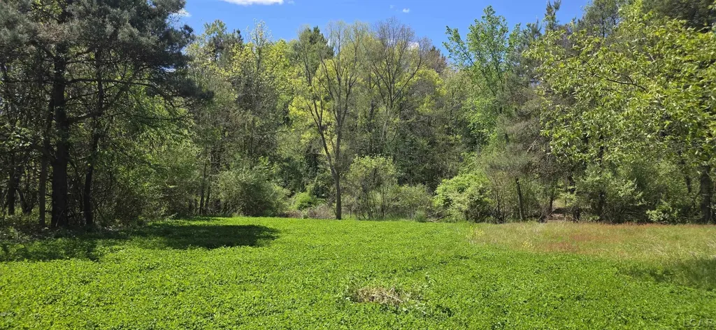 15252 27 Mile Road Sheridan Township MI 49224