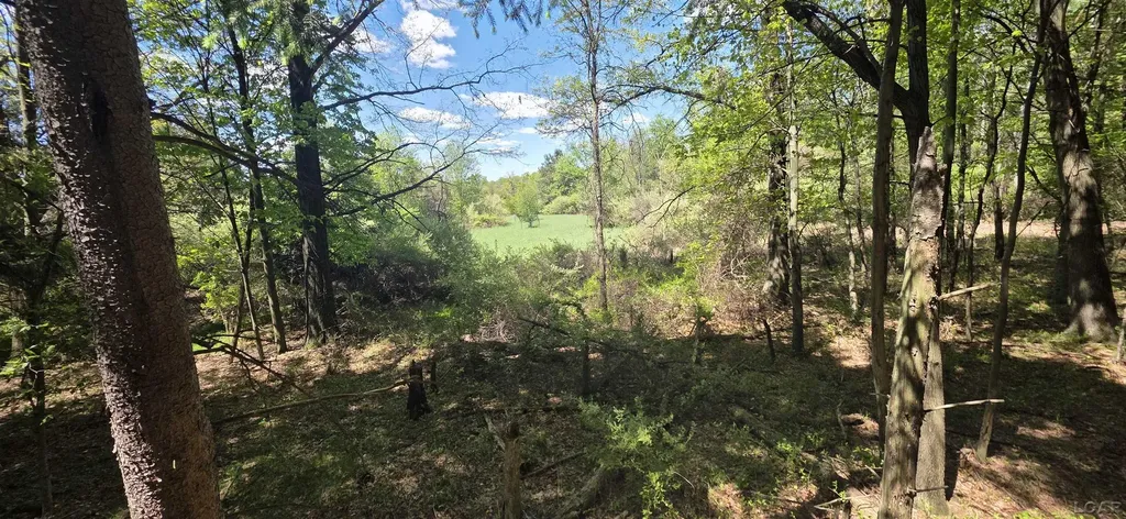 15252 27 Mile Road Sheridan Township MI 49224