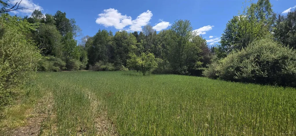 15252 27 Mile Road Sheridan Township MI 49224