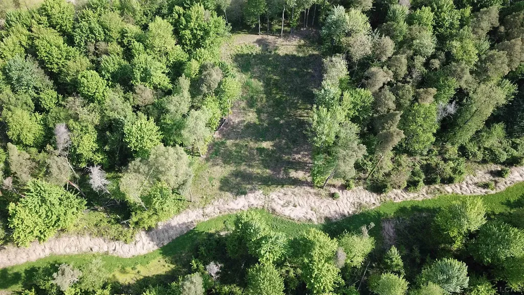 15252 27 Mile Road Sheridan Township MI 49224