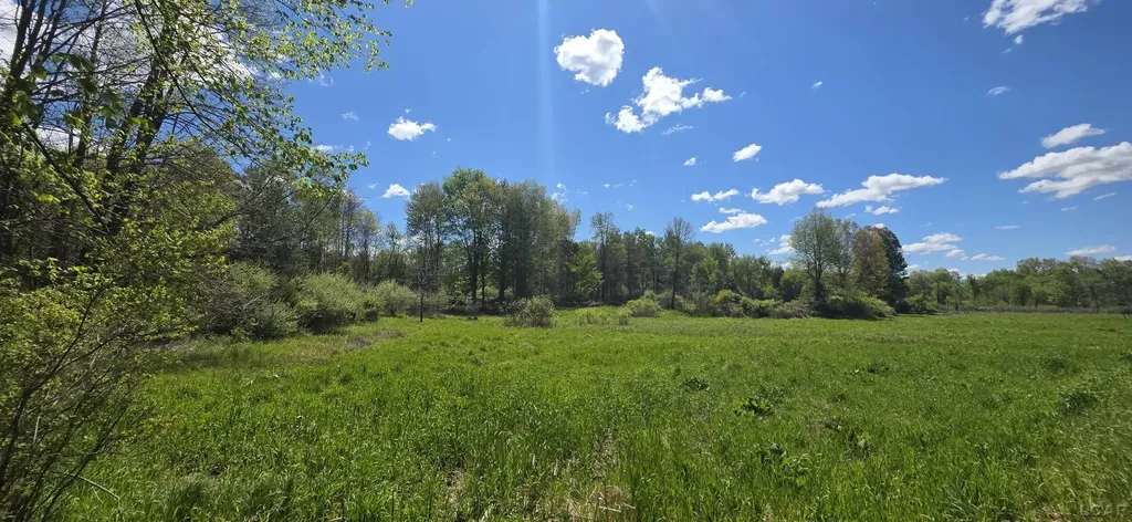 15252 27 Mile Road Sheridan Township MI 49224