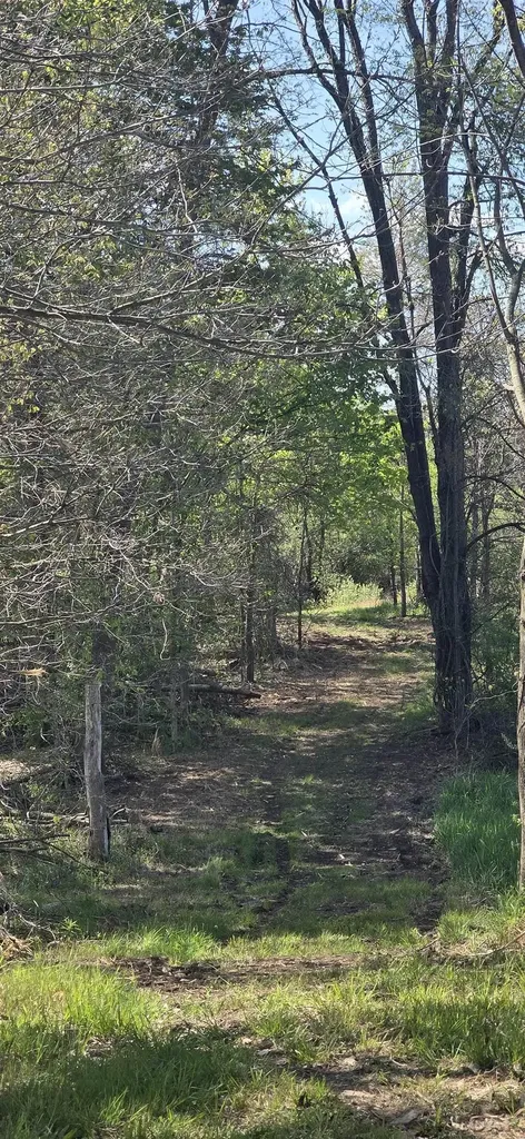 15252 27 Mile Road Sheridan Township MI 49224