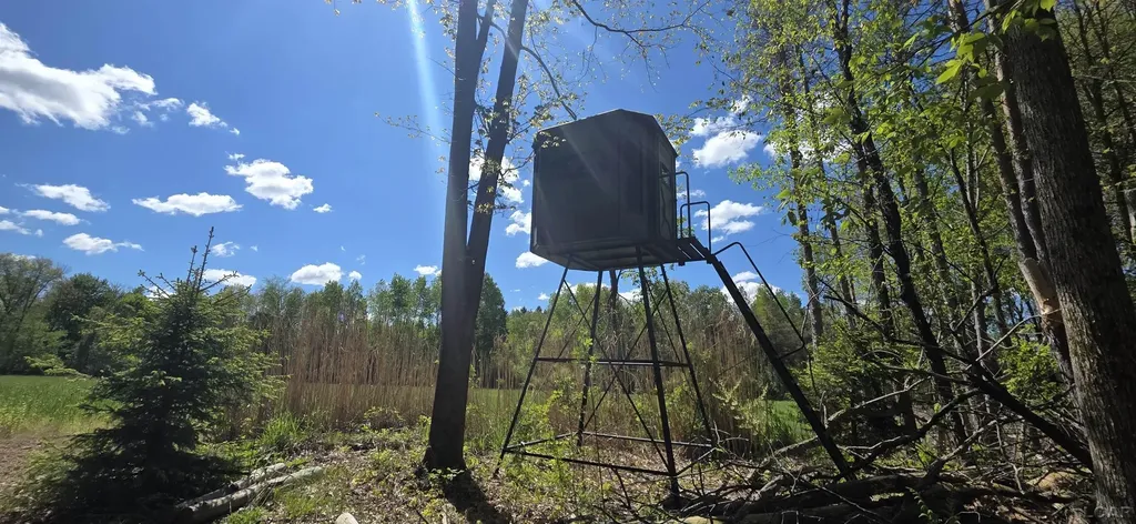 15252 27 Mile Road Sheridan Township MI 49224