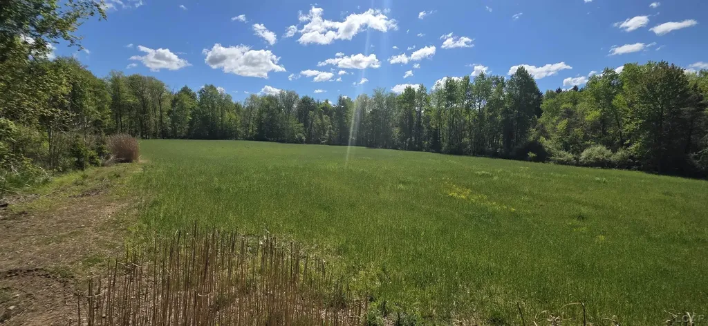 15252 27 Mile Road Sheridan Township MI 49224