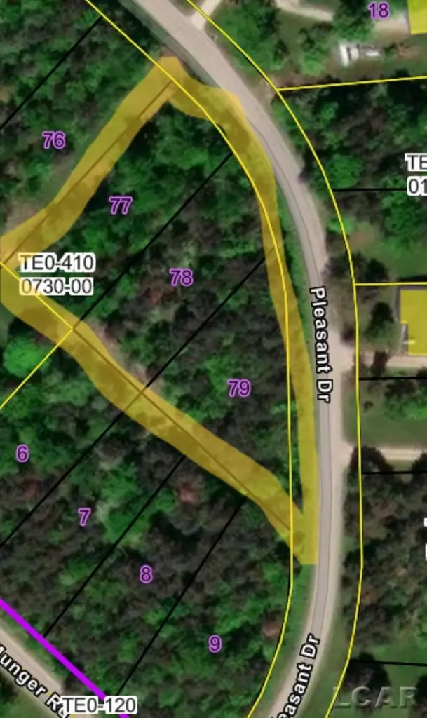 100 Blk Pleasant Drive Tecumseh Township MI 49286