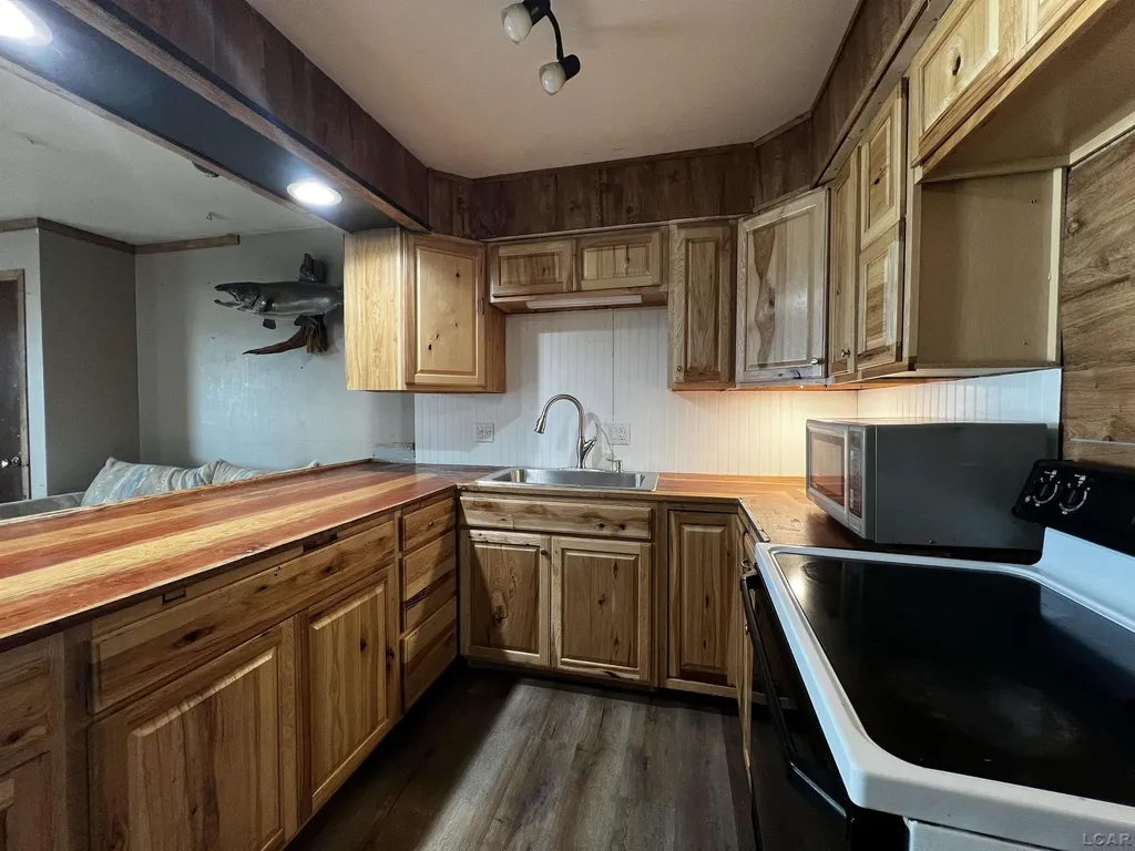 11698 Elm Park Drive Rollin Township MI 49253