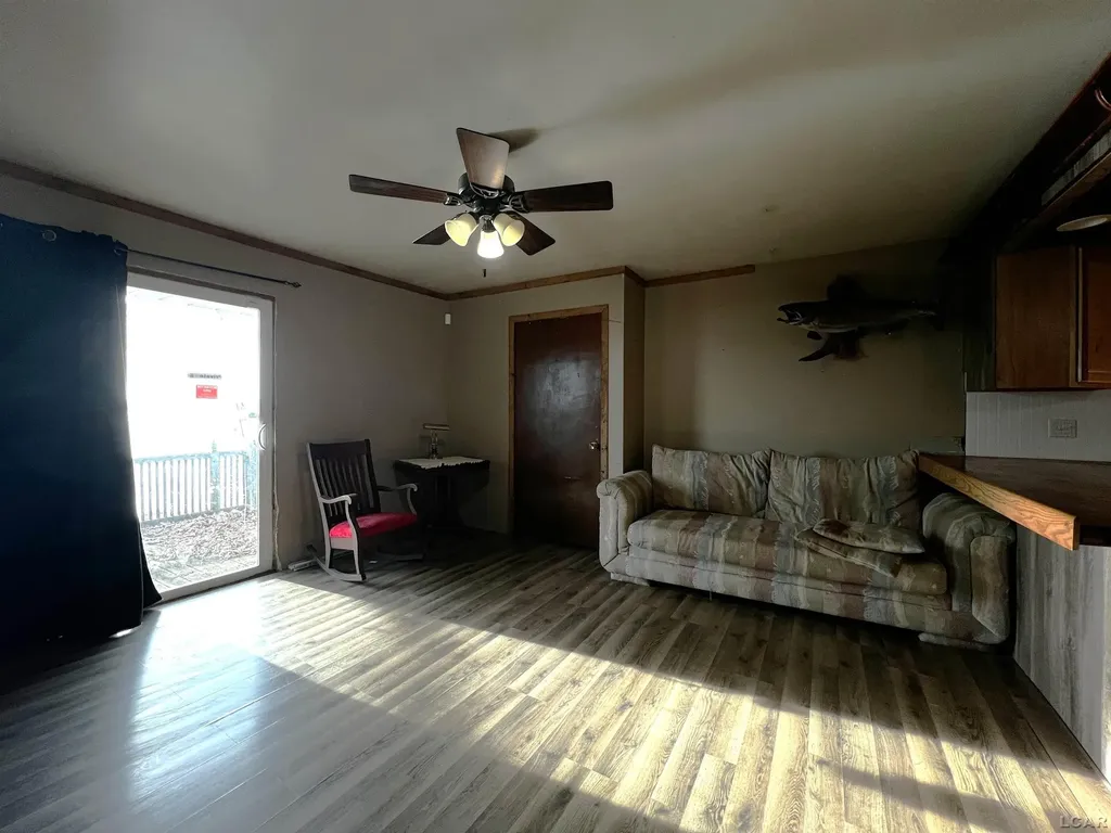 11698 Elm Park Drive Rollin Township MI 49253