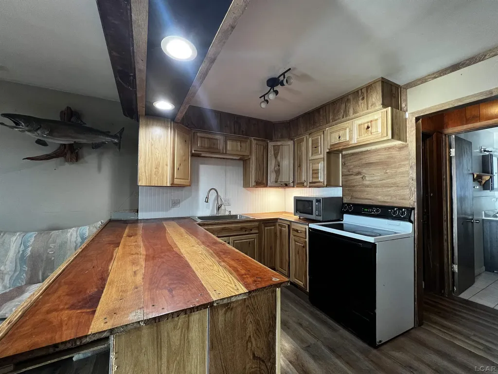 11698 Elm Park Drive Rollin Township MI 49253