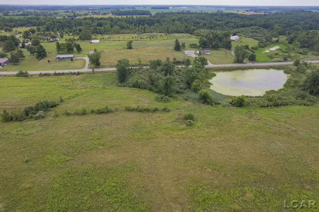 9024 W Carleton Road Dover Township MI 49235