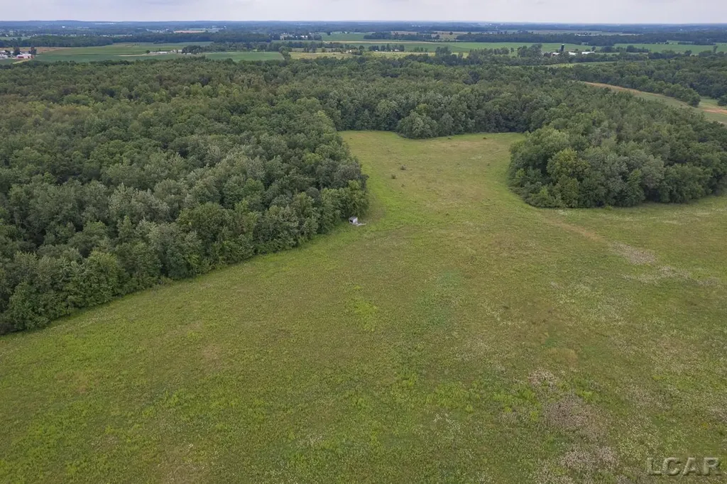 9024 W Carleton Road Dover Township MI 49235