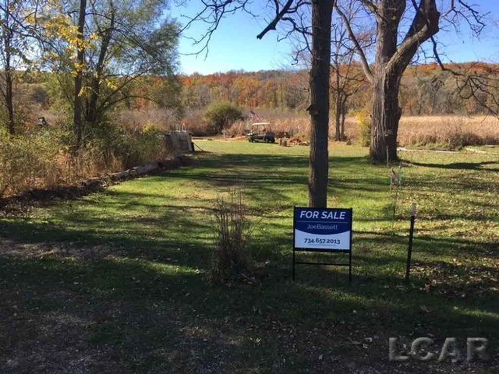 Lots 31 & 43 N Canal St Drive Onsted Village MI 49265