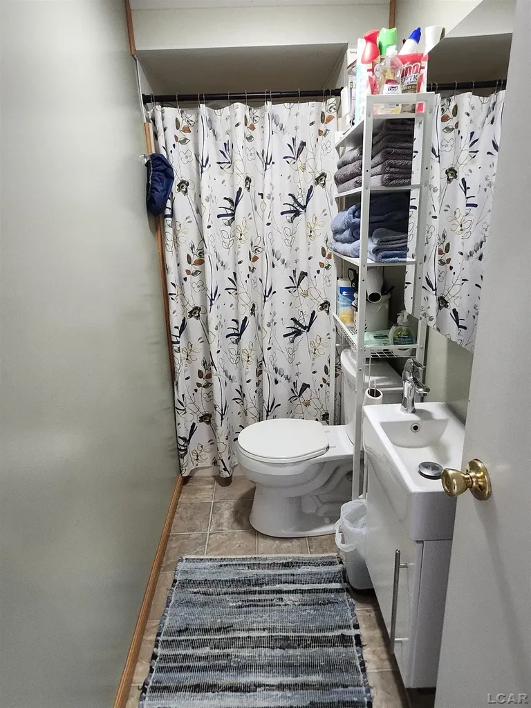 271 E Rose Lake Road Ovid Township MI 49036