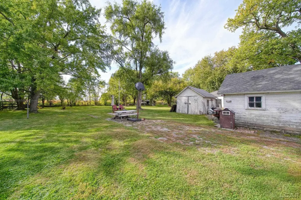 379 N Main Street Britton Village MI 49229
