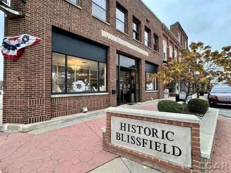101 S Lane Street Blissfield Village MI 49228