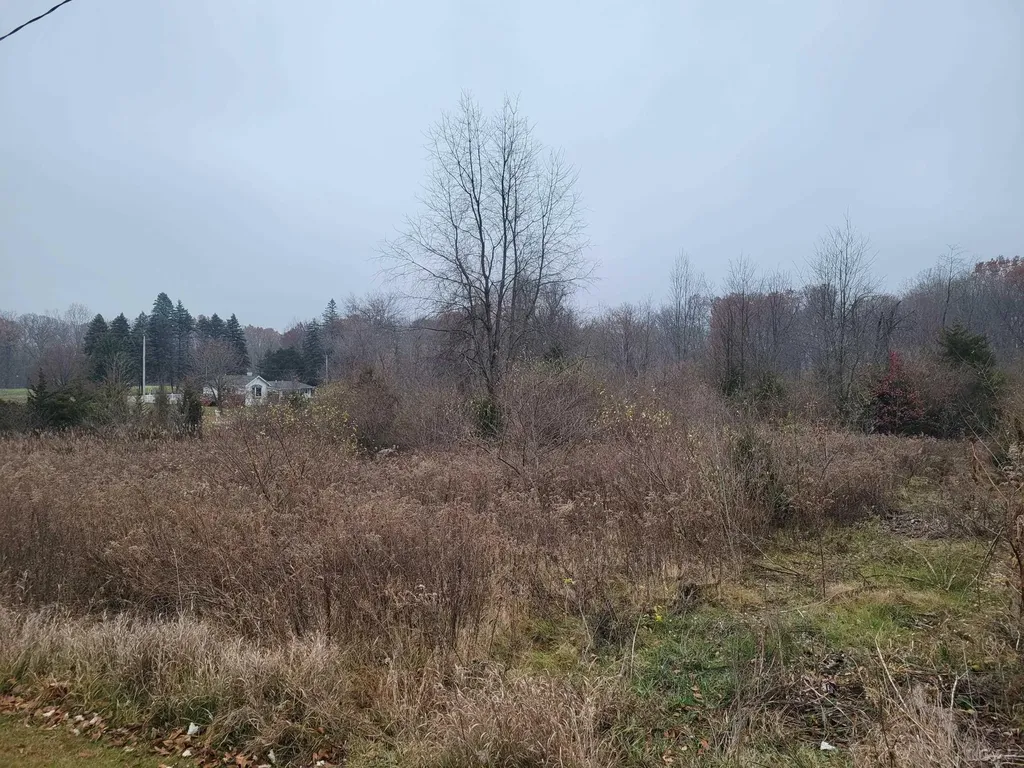 10140 Fairway Drive Somerset Township MI 49249