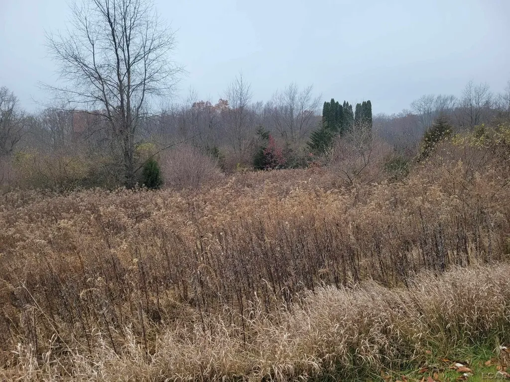 10140 Fairway Drive Somerset Township MI 49249