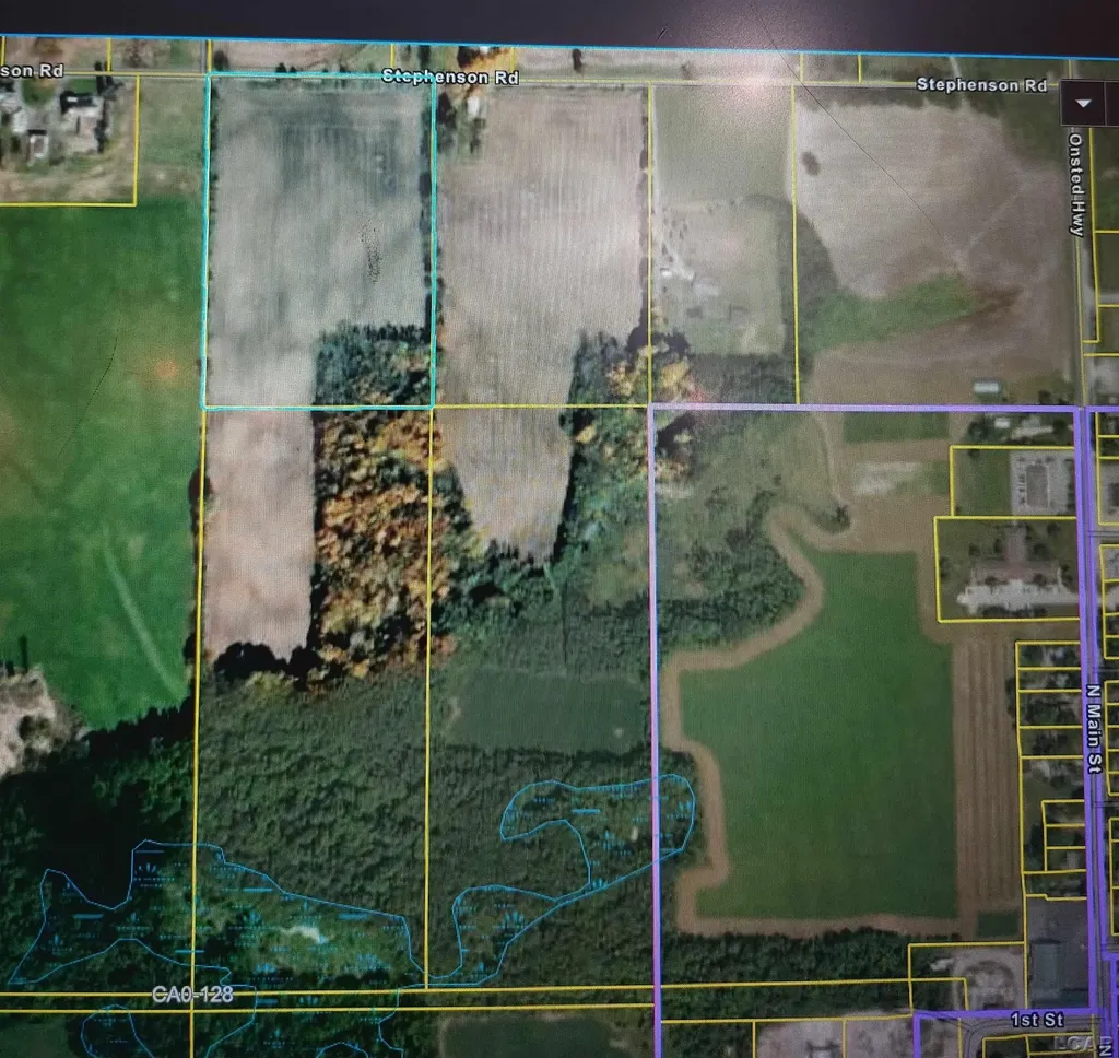 10000 Stephenson Road Blk Road Onsted Village MI 49265