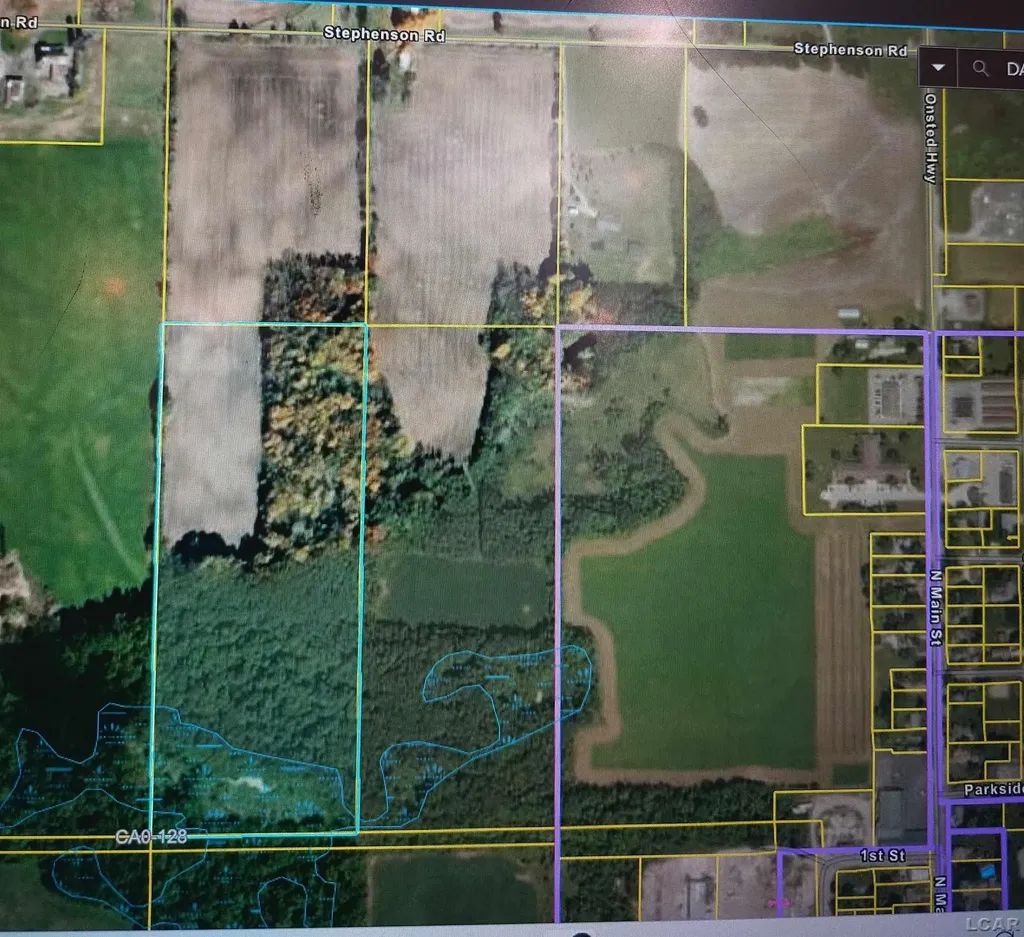10000 Stephenson Road Blk Road Onsted Village MI 49265
