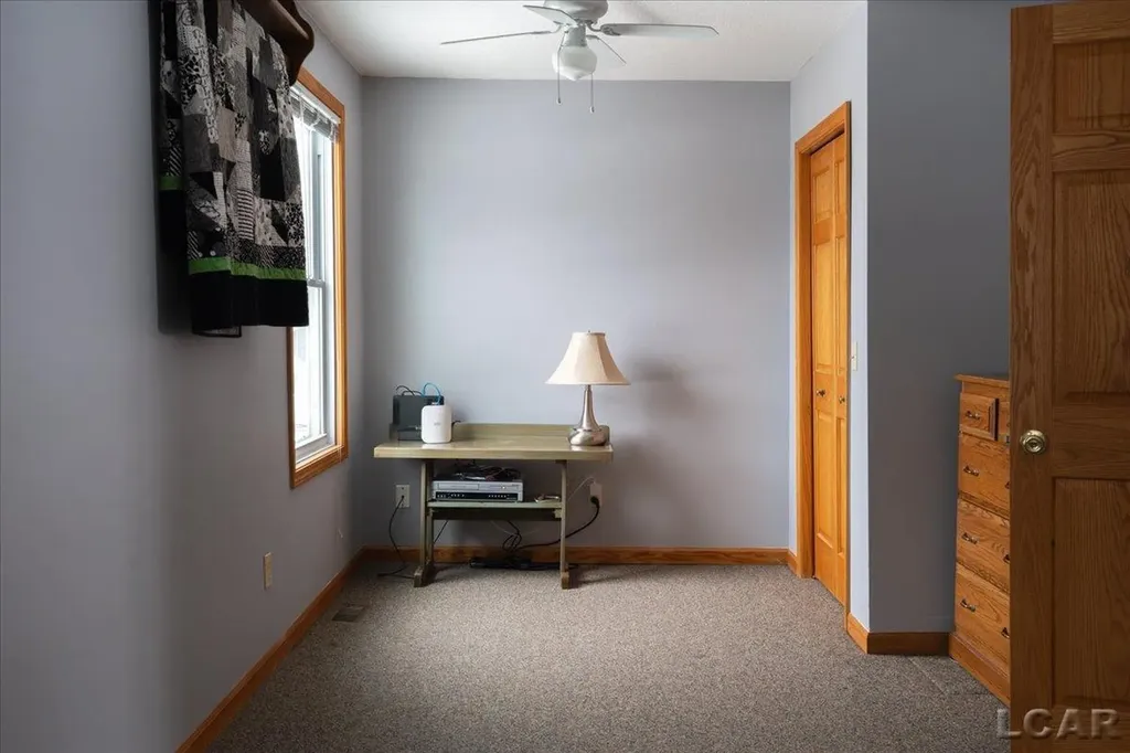 9920 W Ferndale Drive Rollin Township MI 49253