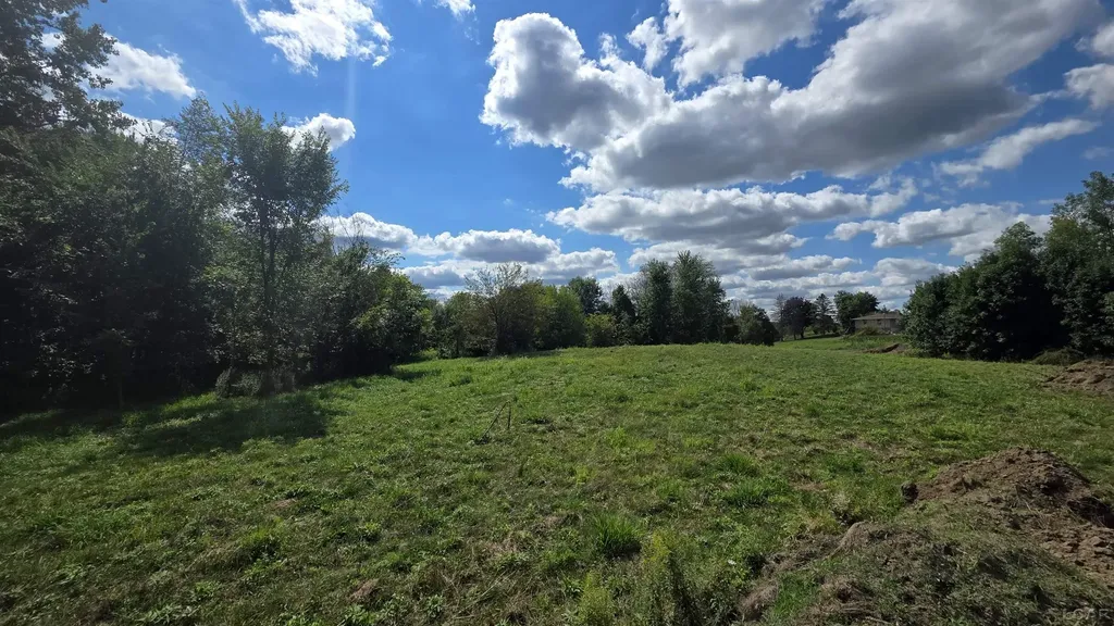 18000 Blk #2 Forrister Road Rollin Township MI 49247