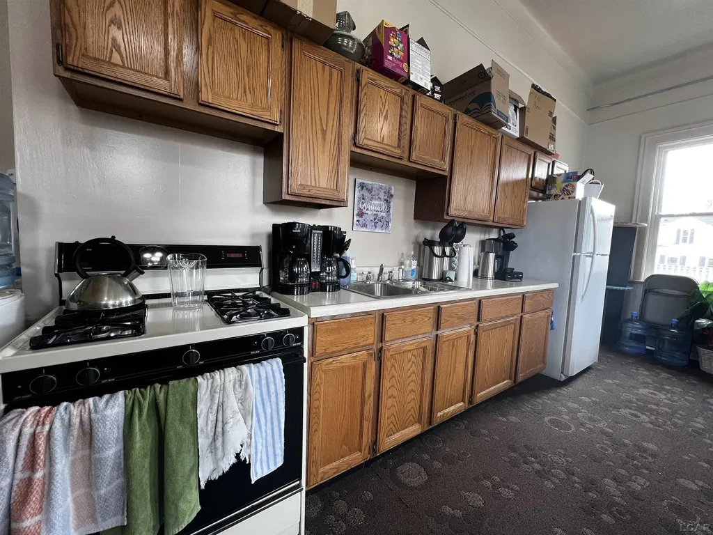 227 Greenly Street Adrian City MI 49221
