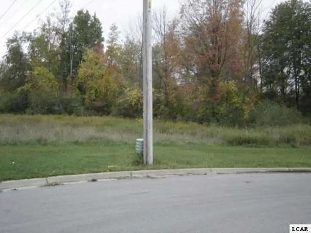 1005 Saw Mill Court Adrian City MI 49221