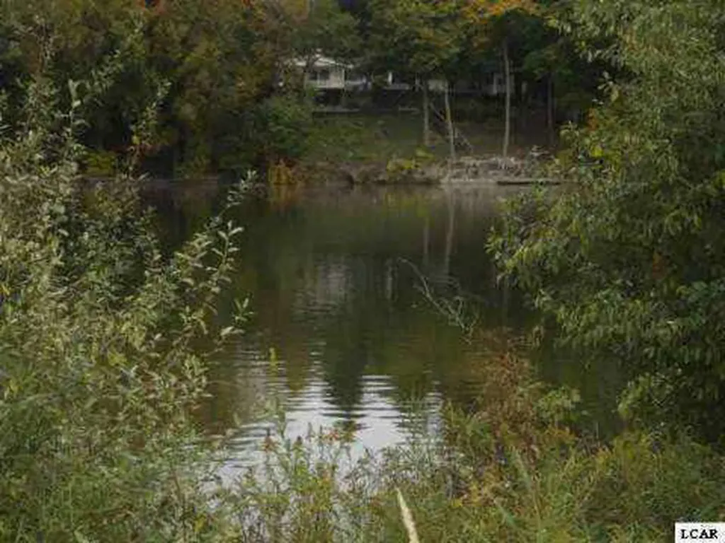 1018 Saw Mill Court Adrian City MI 49221