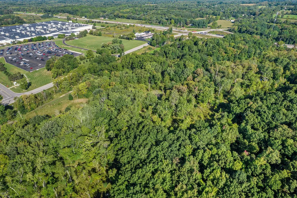 2431 N Dearing Road Sandstone Township MI 49269