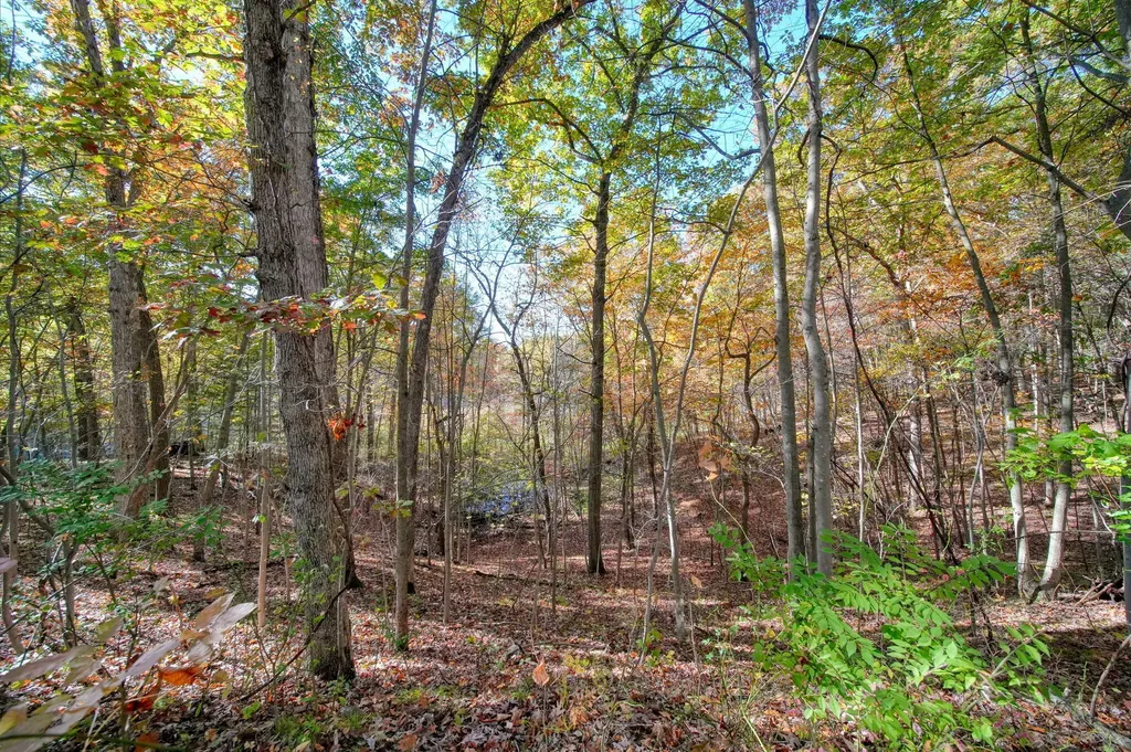 270 Wood Hills Drive Pulaski Township MI 49237