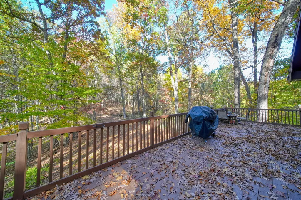 270 Wood Hills Drive Pulaski Township MI 49237