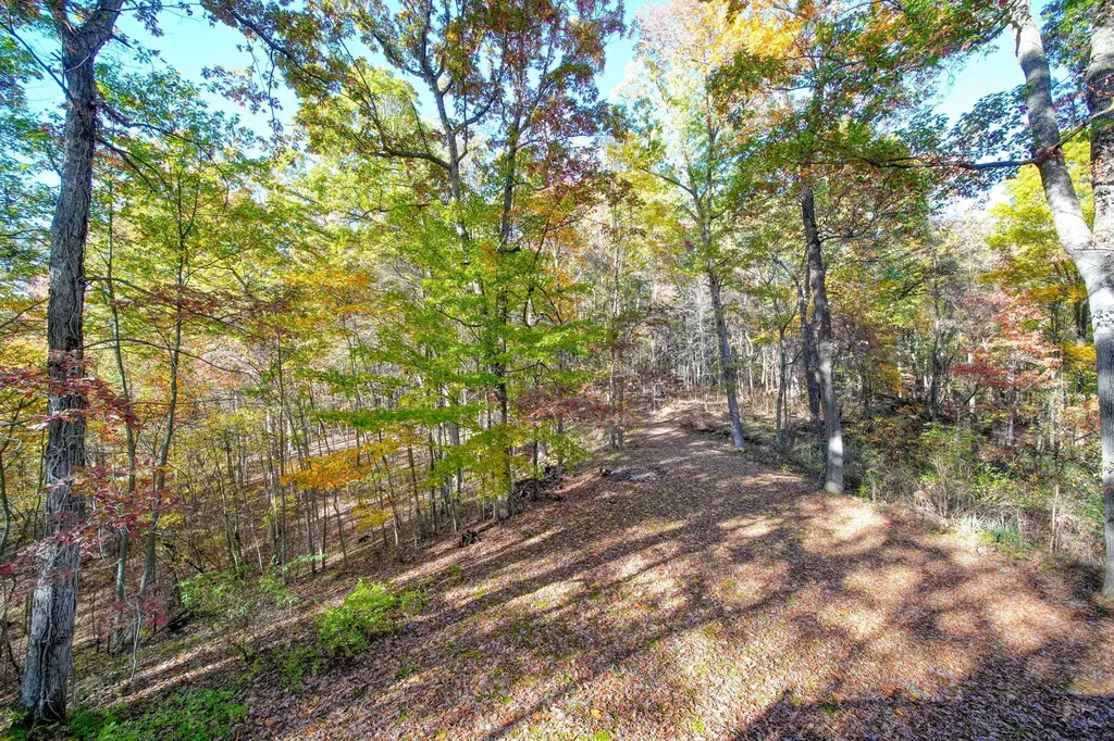 270 Wood Hills Drive Pulaski Township MI 49237