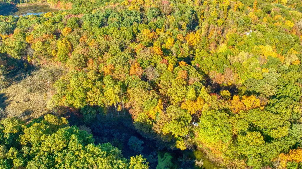 270 Wood Hills Drive Pulaski Township MI 49237
