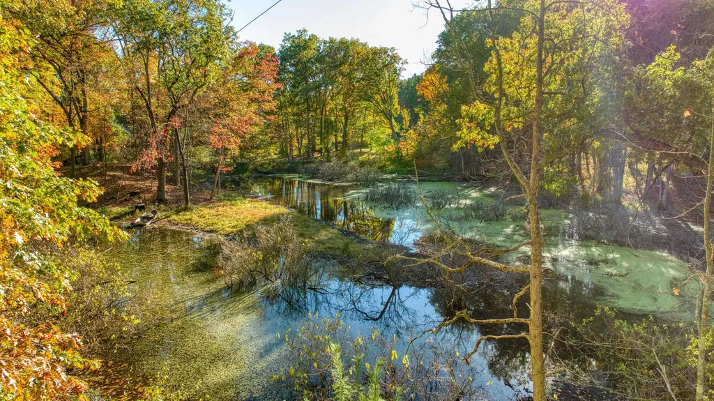 270 Wood Hills Drive Pulaski Township MI 49237