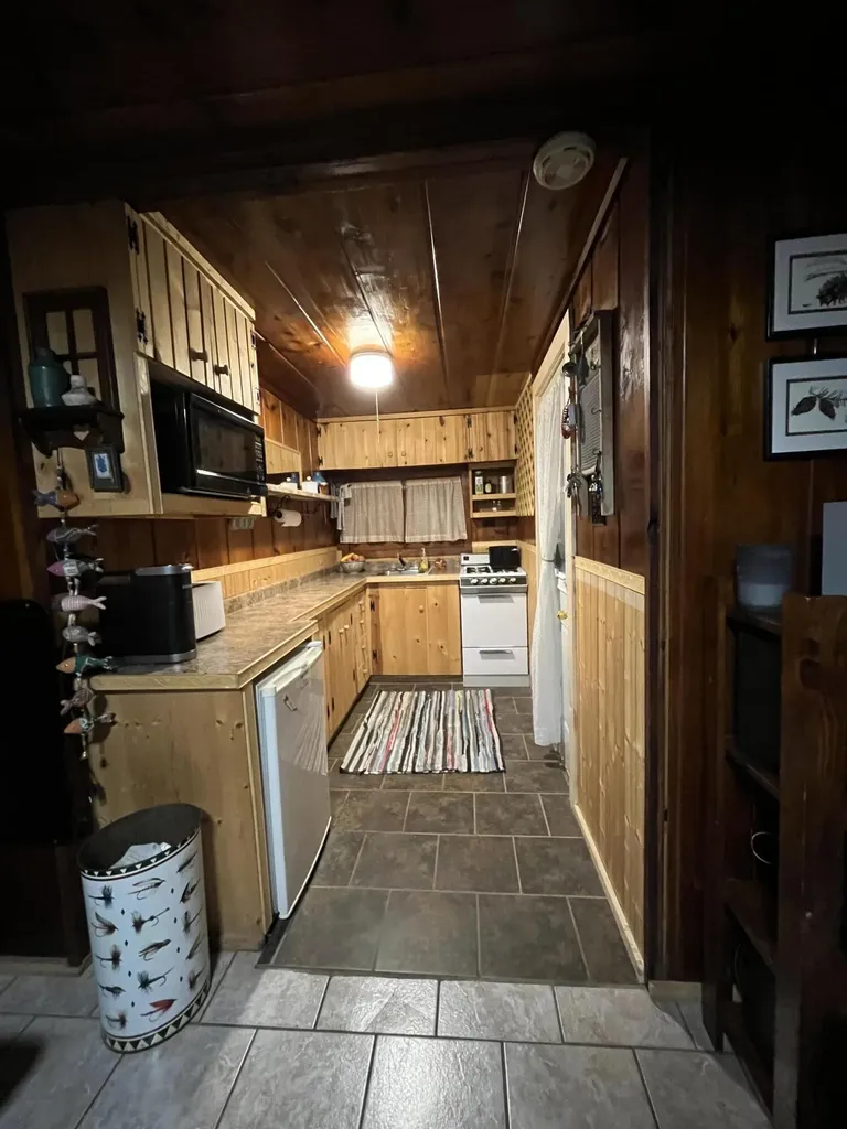 951 Lake Drive Lincoln Township MI 48625