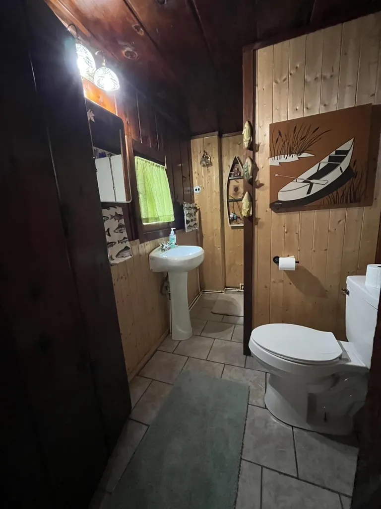951 Lake Drive Lincoln Township MI 48625