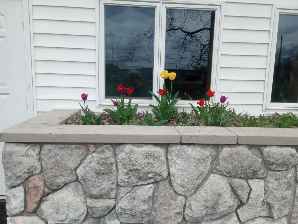 4946 Page Avenue Leoni Township MI 49254