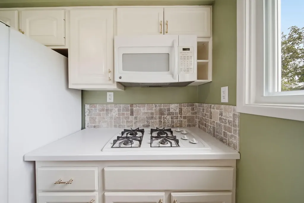584 Birchwood Street Summit Township MI 49203