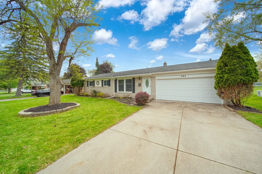 584 Birchwood Street Summit Township MI 49203