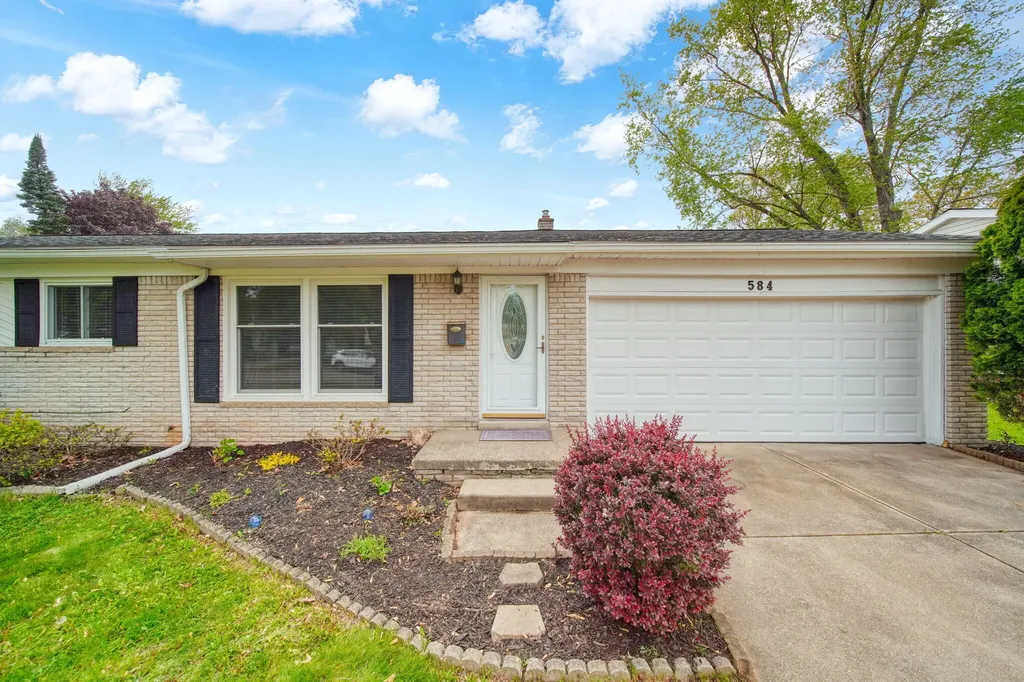 584 Birchwood Street Summit Township MI 49203