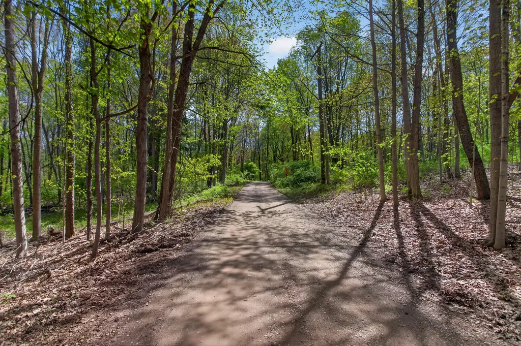 12001 Strait Road Hanover Township MI 49241