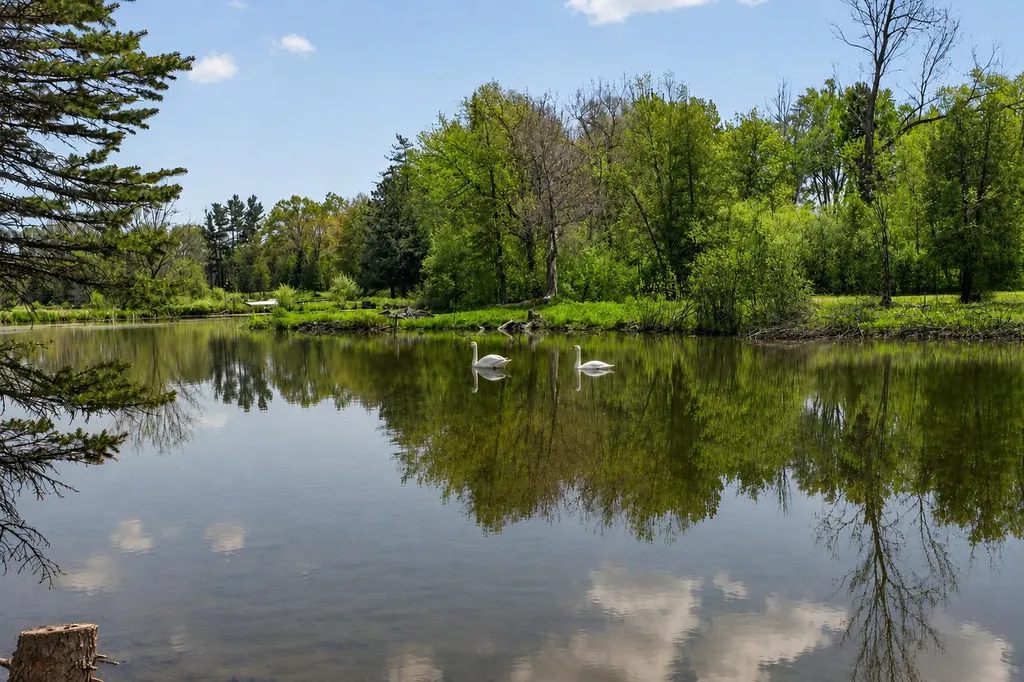 4359 Springbrook Lane Summit Township MI 49201