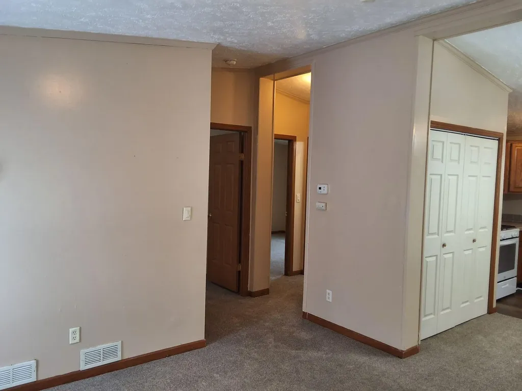 213 Reading Avenue Jonesville City MI 49250