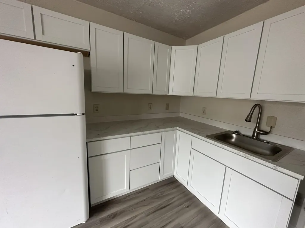 213 Reading Avenue Jonesville City MI 49250