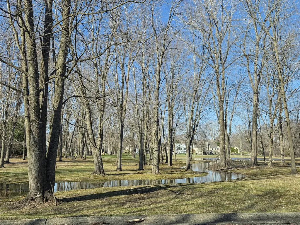 2205 Lake Wood Drive Summit Township MI 49203